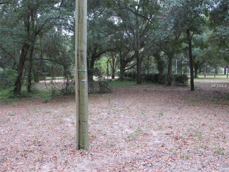 1851 STEPHENS LANE, Dover, FL 33527