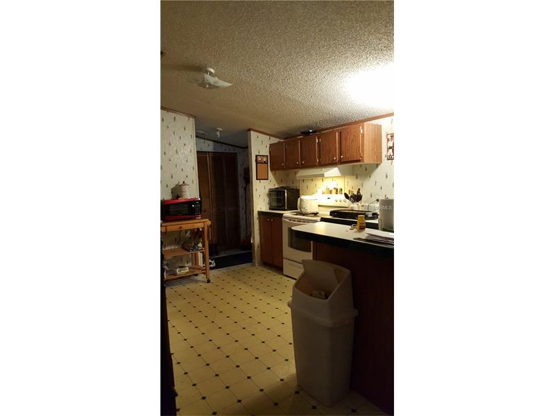 5806 DURANT ROAD, Dover, FL 33527