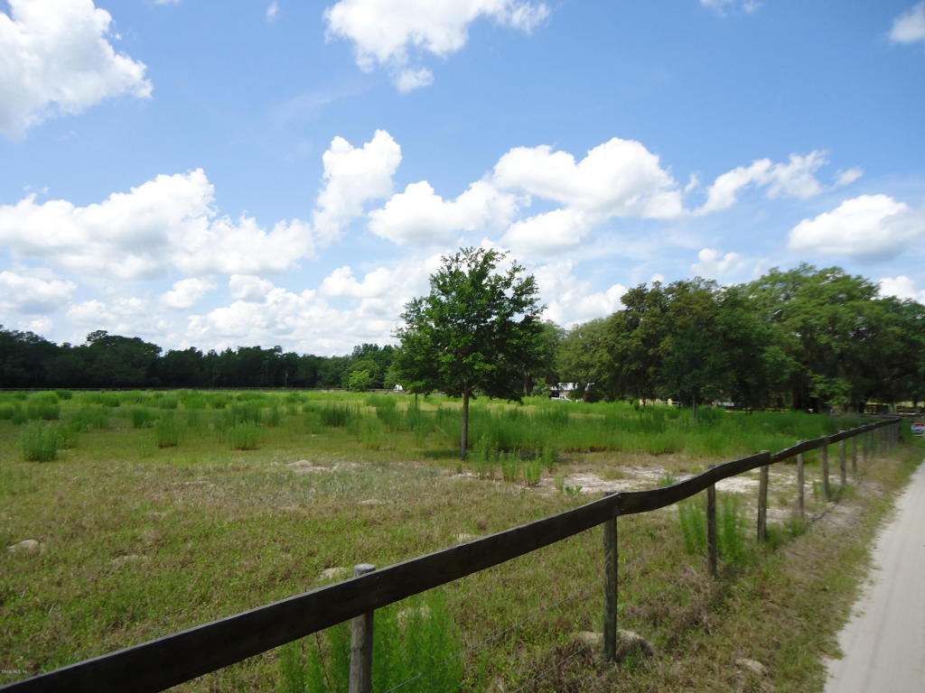 0 W Sumter Avenue, Lake Panasoffkee, FL 33538