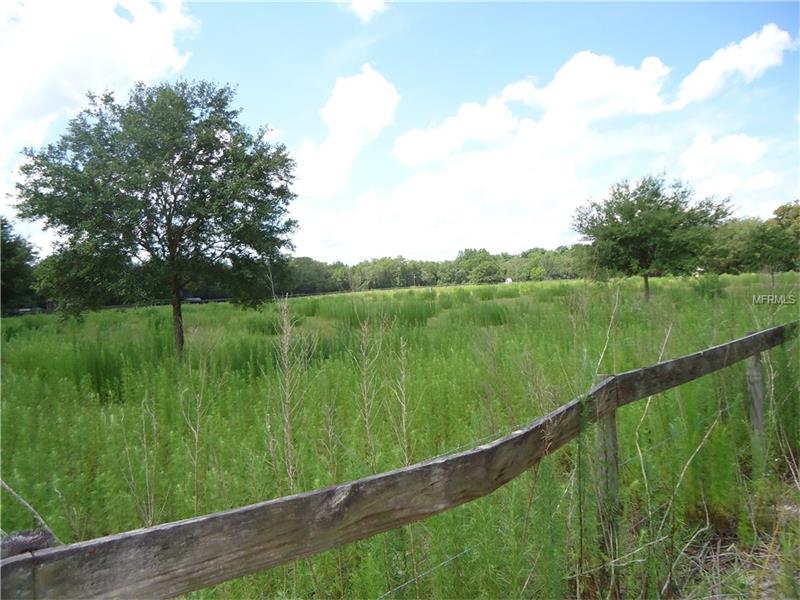 0 W SUMTER AVENUE, Lake Panasoffkee, FL 33538