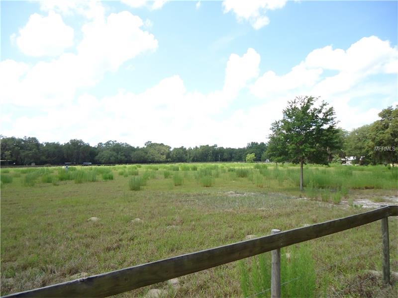 0 W SUMTER AVENUE, Lake Panasoffkee, FL 33538