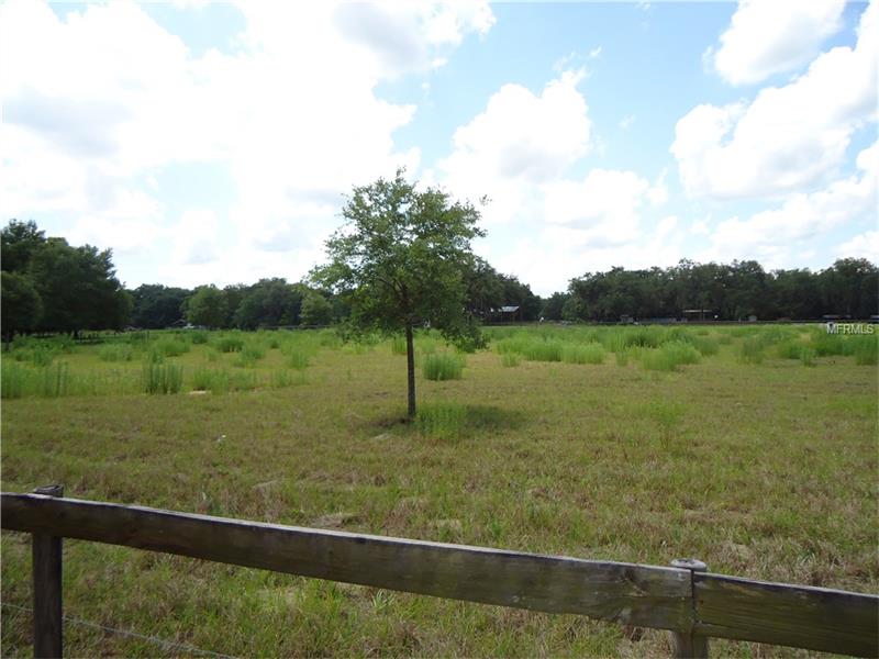 0 W SUMTER AVENUE, Lake Panasoffkee, FL 33538