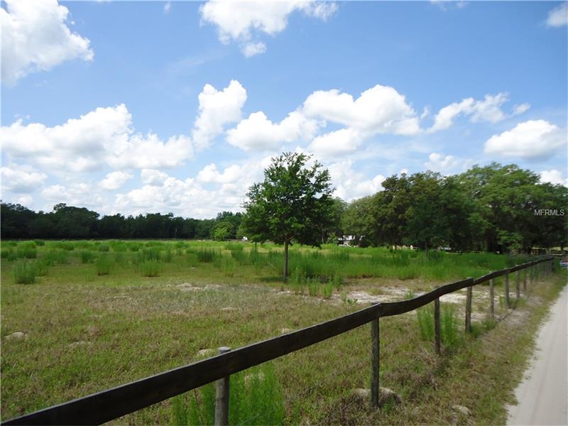 0 W SUMTER AVENUE, Lake Panasoffkee, FL 33538