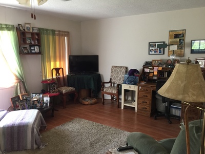Lake Panasoffkee, FL 33538