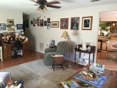 Lake Panasoffkee, FL 33538