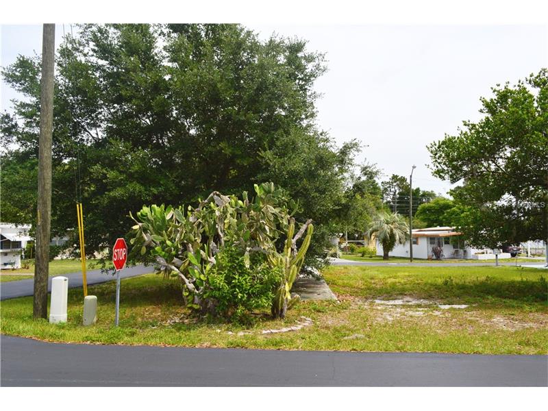 37350 RAY DRIVE, Zephyrhills, FL 33541