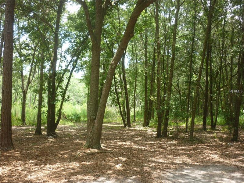 EILAND BLVD, Zephyrhills, FL 33541