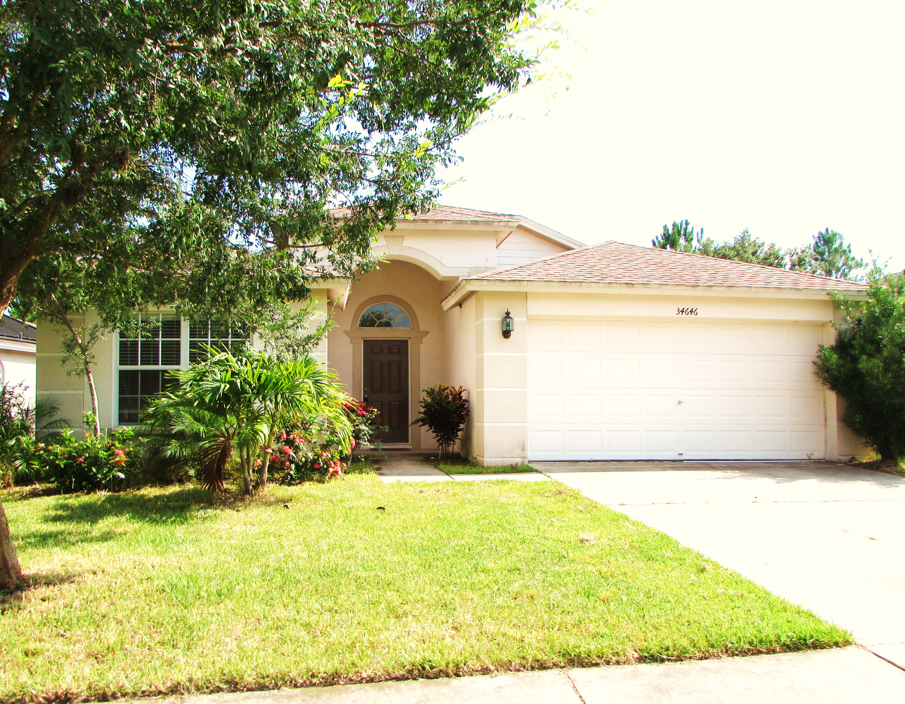 34646 Birchmont Lane, Zephyrhills, FL 33541