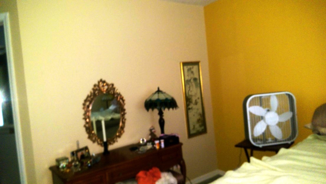 6411 Laurelwood Drive, Zephyrhills, FL 33542