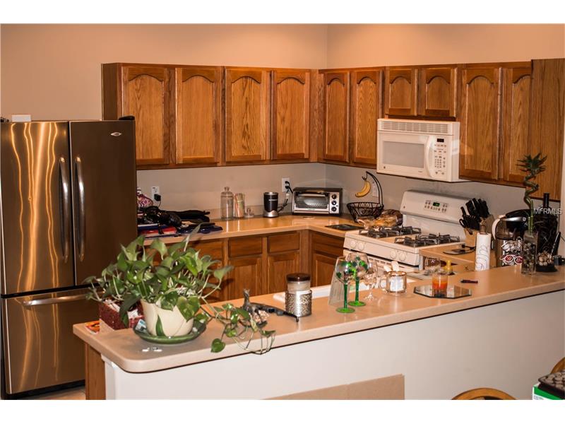 31806 LARKENHEATH DRIVE, Wesley Chapel, FL 33543