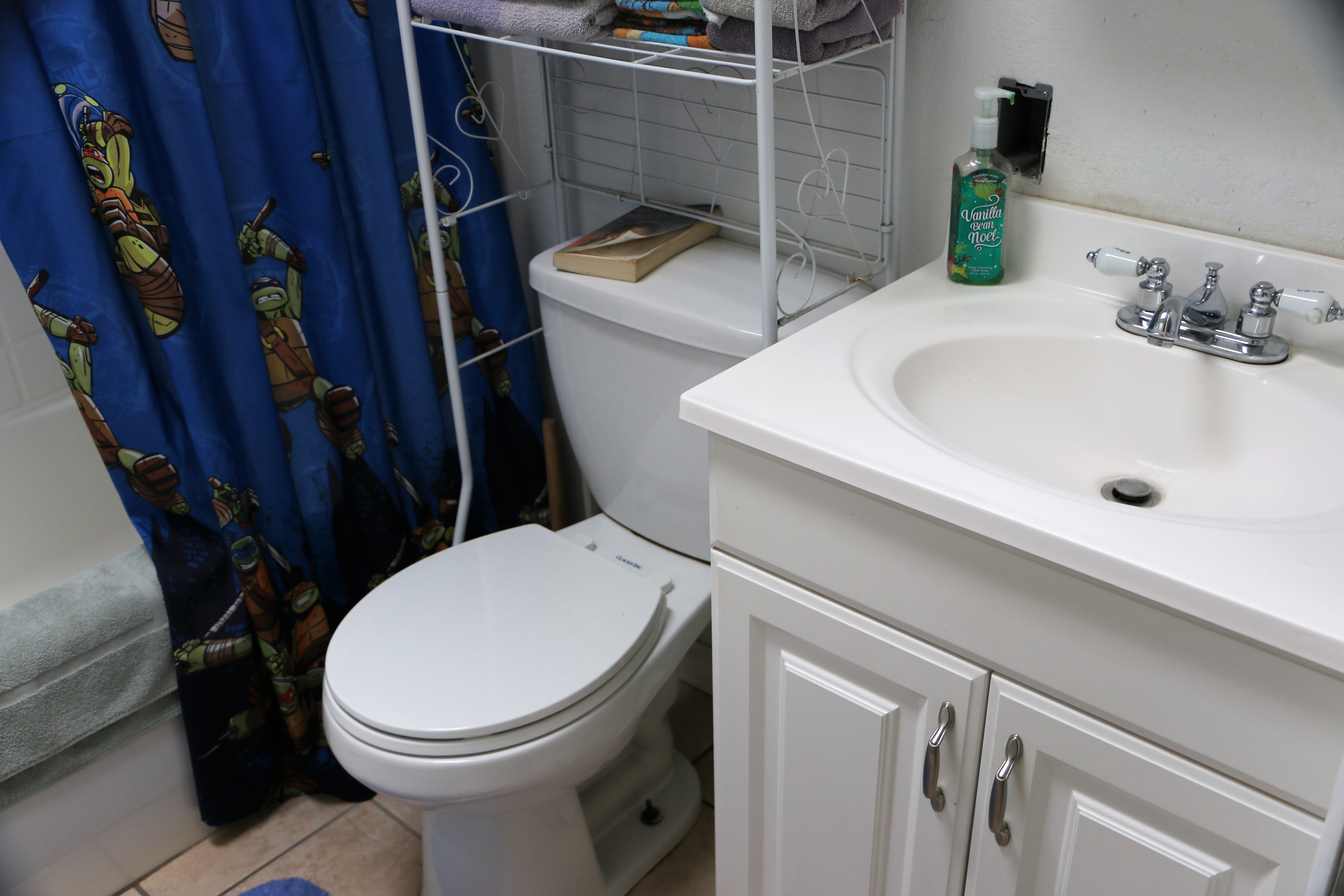 33420 Brisk Drive, Wesley Chapel, FL 33543