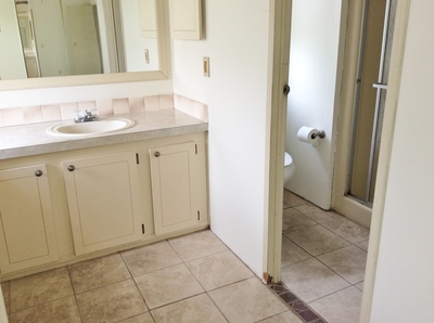 3131 Hidden Lake Dr., Wesley Chapel, FL 33543