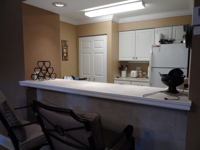 4946 Mill Pond Rd #3180, Wesley Chapel, FL 33543