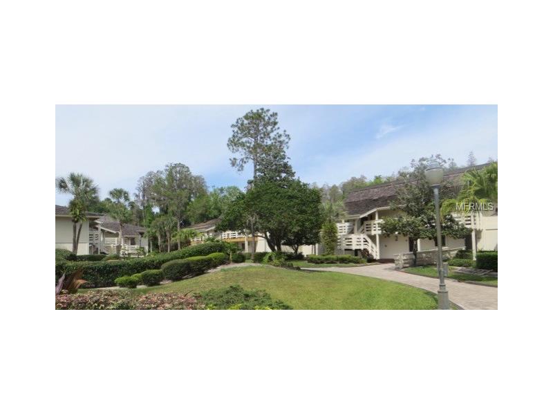 4748 FOX HUNT DR C925-927, Wesley Chapel, FL 33543