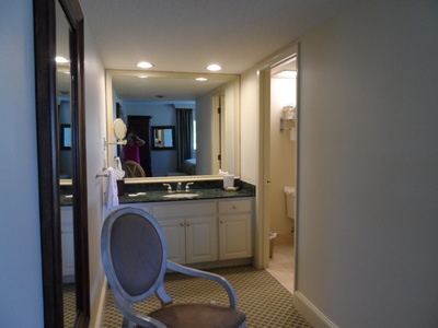 4946 Mill Pond Rd #3178, Wesley Chapel, FL 33543