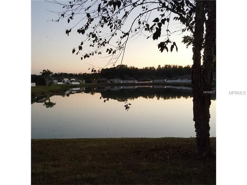 25316 FLYING EBONY LANE, Wesley Chapel, FL 33544