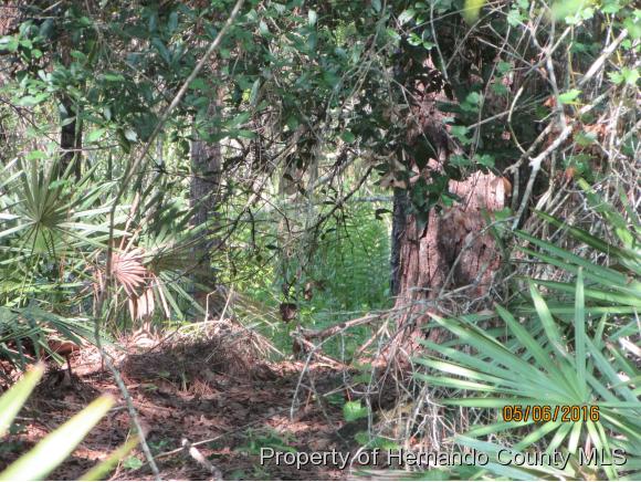 7777 WestPoint, Wesley Chapel, FL 33544