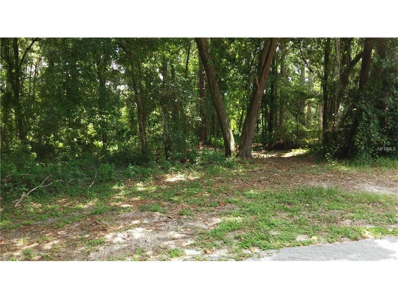 0 CLINTON WAY, Wesley Chapel, FL 33544