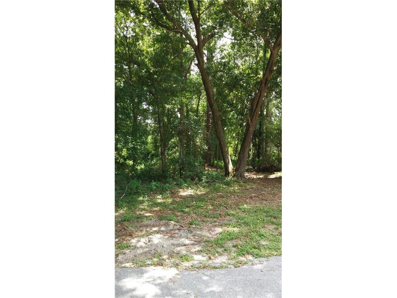 0 CLINTON WAY, Wesley Chapel, FL 33544