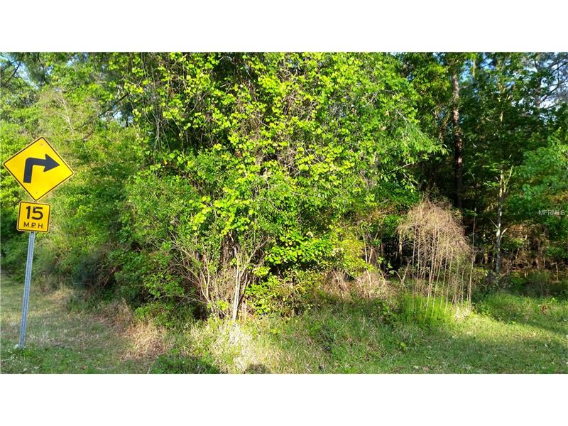 WALKER DRIVE, Wesley Chapel, FL 33544