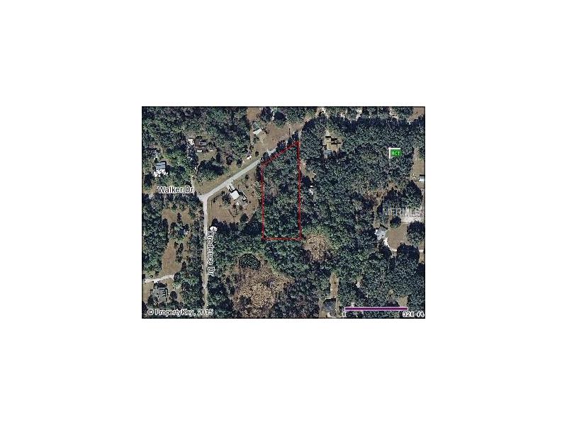 WALKER DRIVE, Wesley Chapel, FL 33544