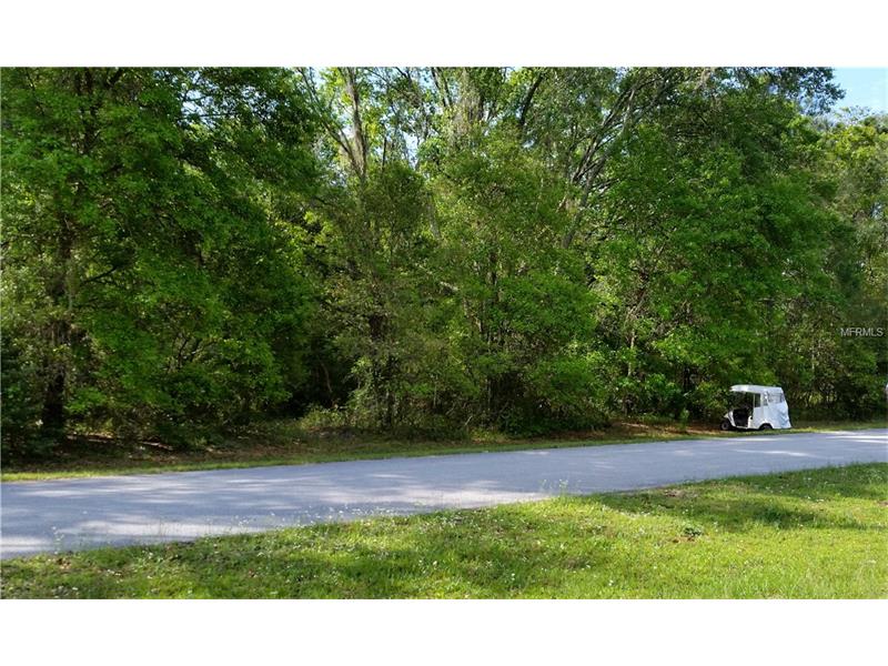 WALKER DRIVE, Wesley Chapel, FL 33544