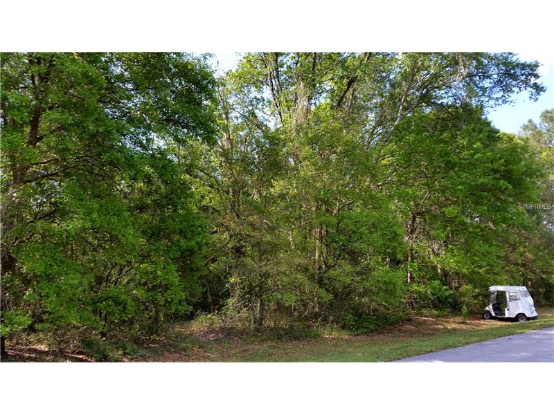 WALKER DRIVE, Wesley Chapel, FL 33544