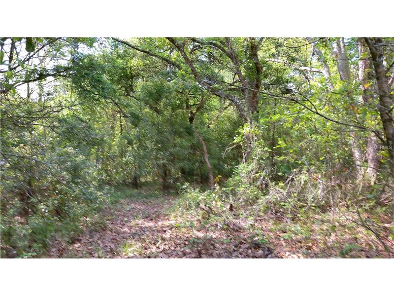 WALKER DRIVE, Wesley Chapel, FL 33544