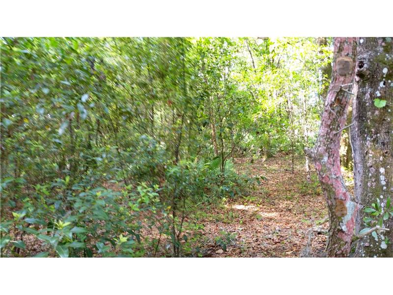 WALKER DRIVE, Wesley Chapel, FL 33544