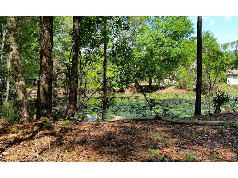 WALKER DRIVE, Wesley Chapel, FL 33544