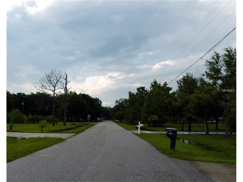 GOLF COURSE LOOP, Wesley Chapel, FL 33544