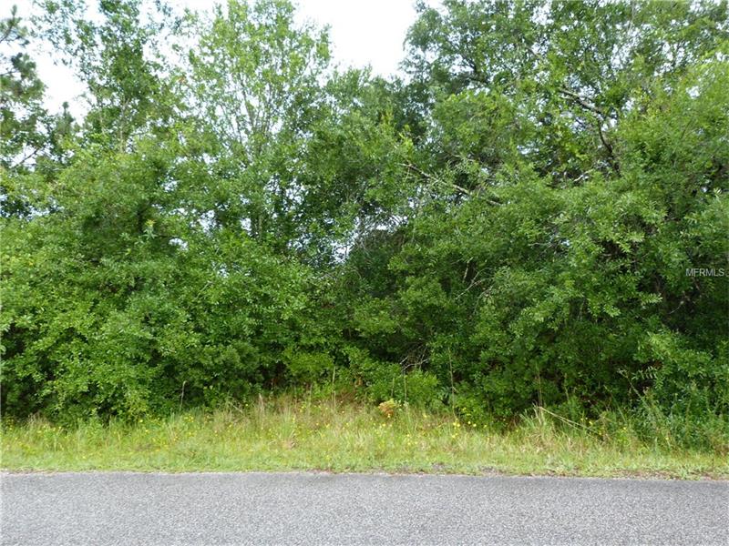 GOLF COURSE LOOP, Wesley Chapel, FL 33544