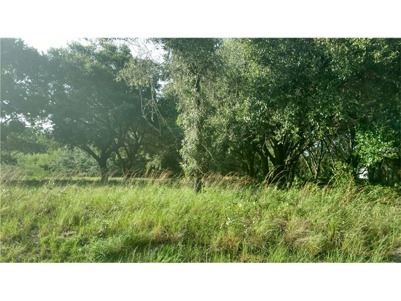 32525 GREENWOOD LOOP, Wesley Chapel, FL 33545