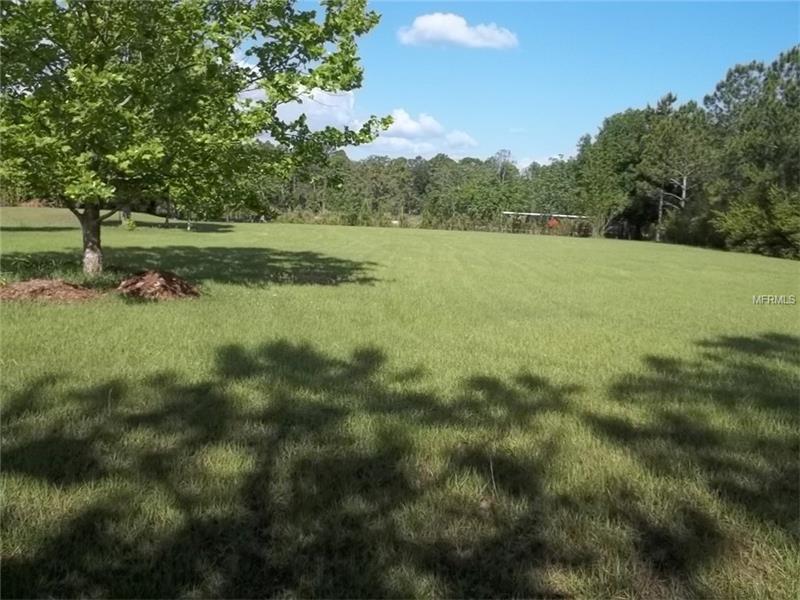 MCKENDREE, Wesley Chapel, FL 33545