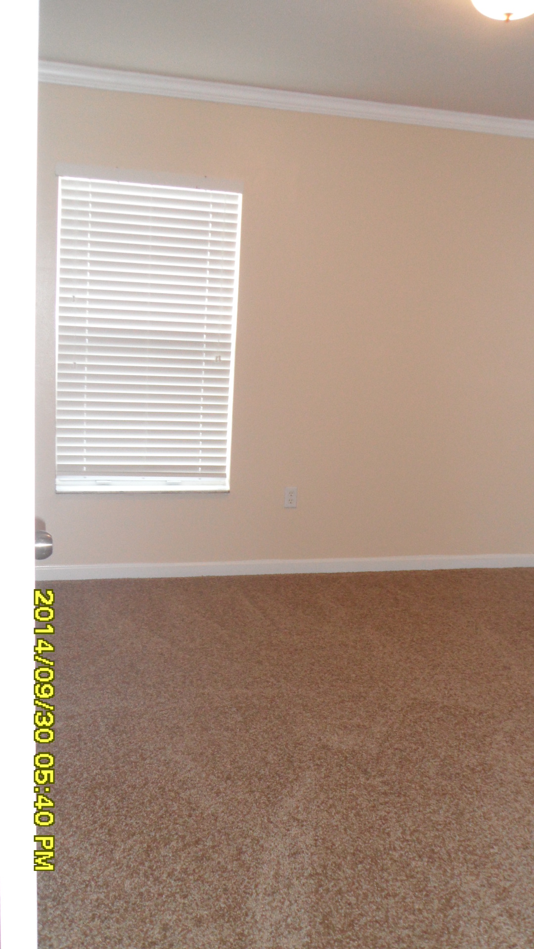 30326 Grymes drive, Wesley Chapel, FL 33545