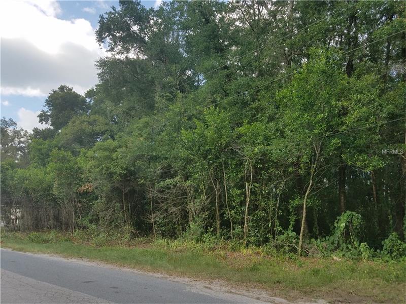 1ST AVENUE SE, Lutz, FL 33549