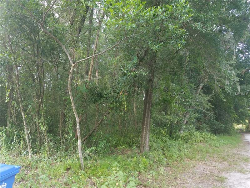 1ST AVENUE SE, Lutz, FL 33549
