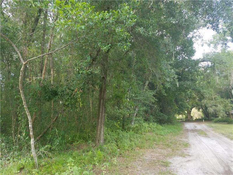 1ST AVENUE SE, Lutz, FL 33549
