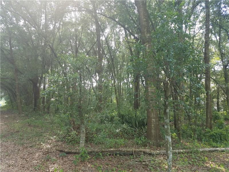1ST AVENUE SE, Lutz, FL 33549