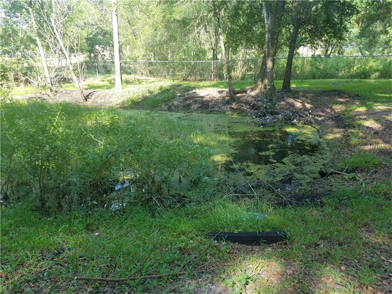 1ST AVENUE SE, Lutz, FL 33549