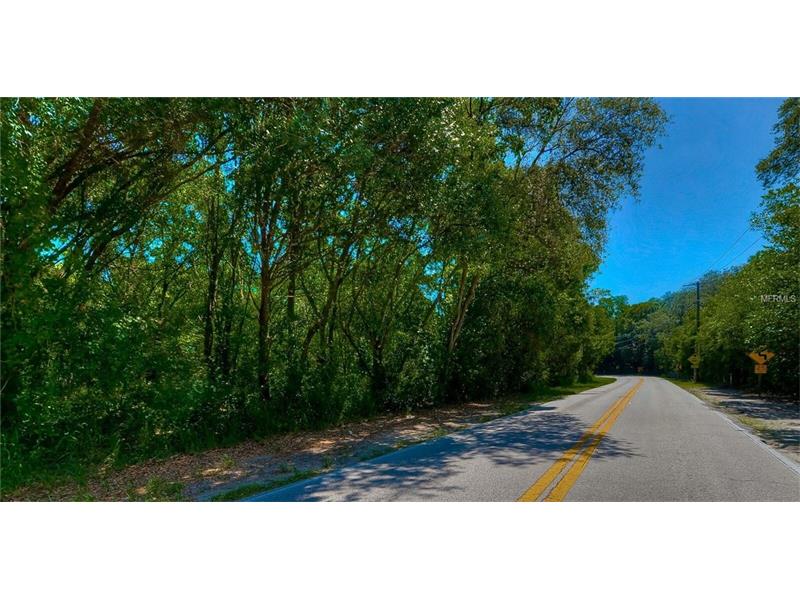 HANNA ROAD, Lutz, FL 33549