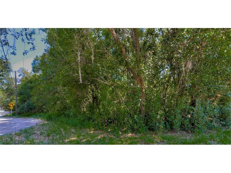 HANNA ROAD, Lutz, FL 33549