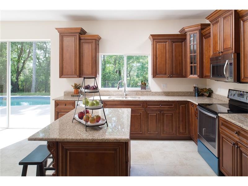 15619 EASTBOURN DRIVE, Odessa, FL 33556
