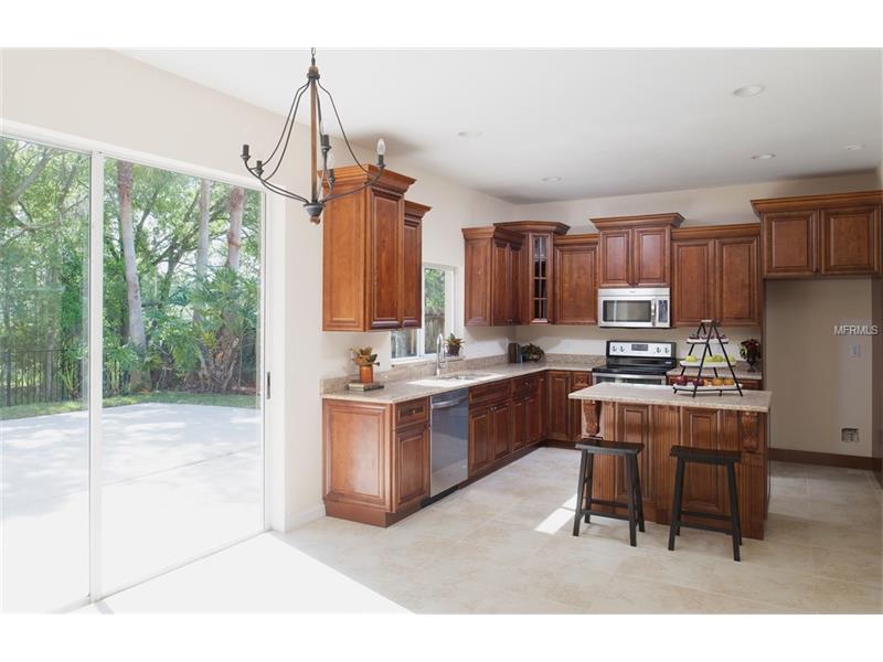 15619 EASTBOURN DRIVE, Odessa, FL 33556