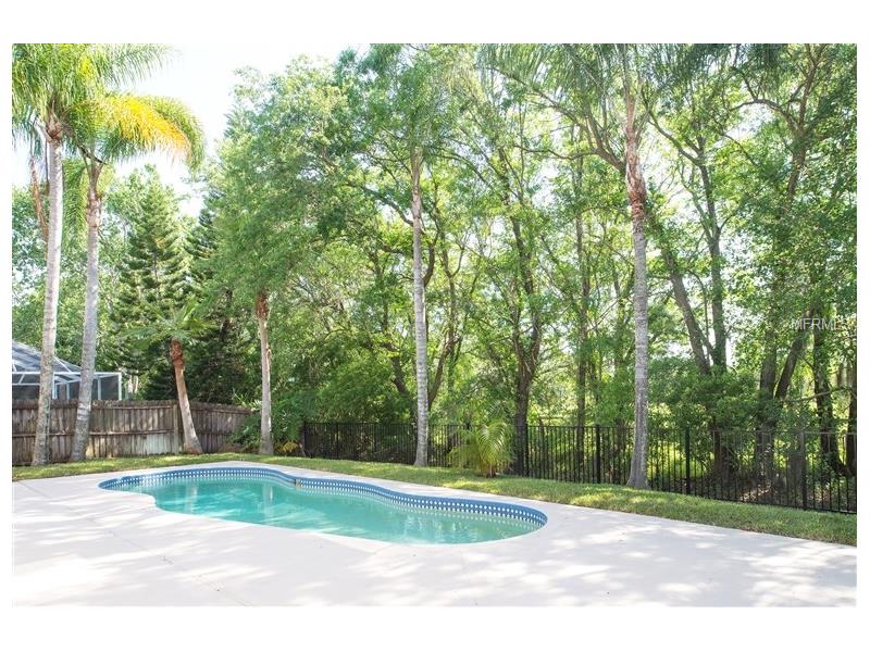 15619 EASTBOURN DRIVE, Odessa, FL 33556