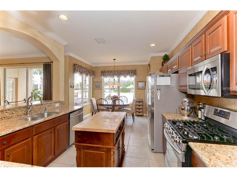 16509 NIKKI LANE, Odessa, FL 33556