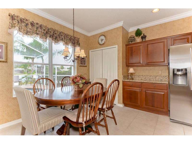 16509 NIKKI LANE, Odessa, FL 33556