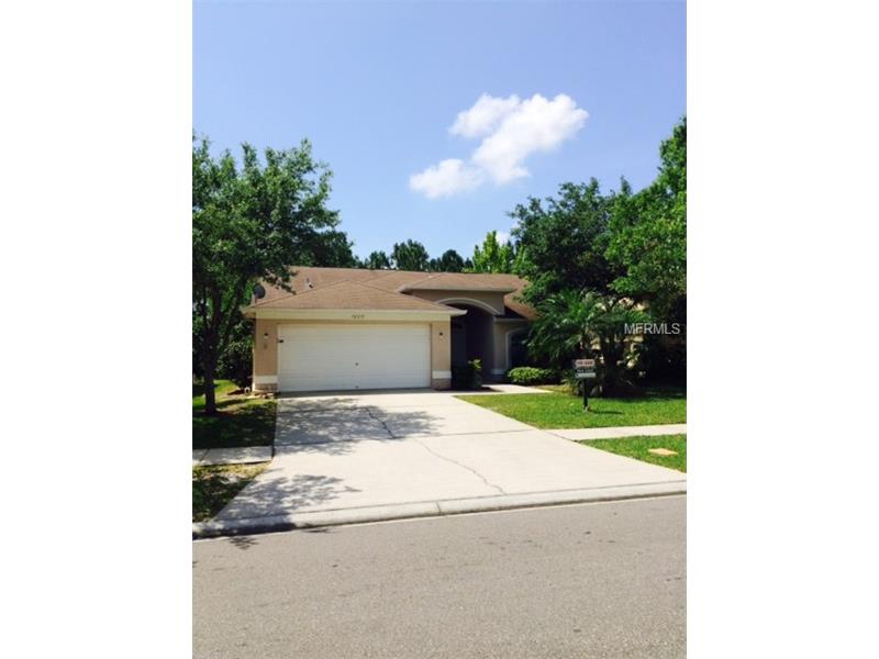 13217 ROYAL GEORGE AVENUE, Odessa, FL 33556