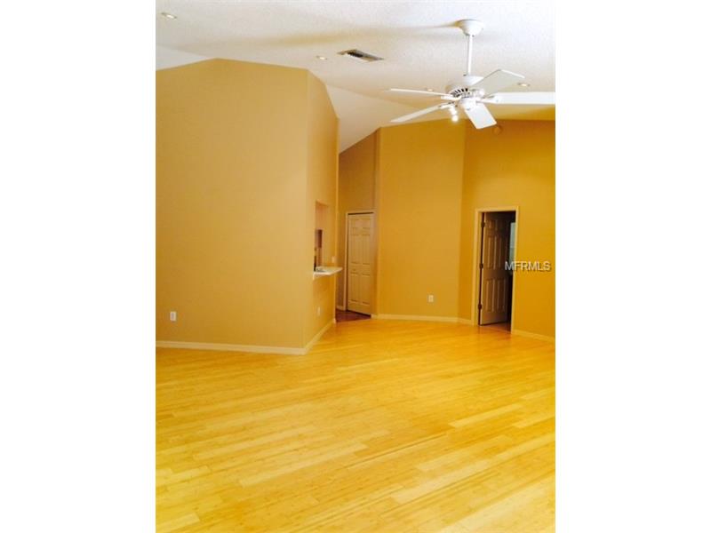 13217 ROYAL GEORGE AVENUE, Odessa, FL 33556