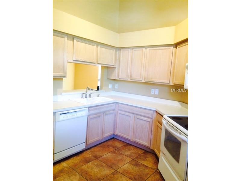 13217 ROYAL GEORGE AVENUE, Odessa, FL 33556